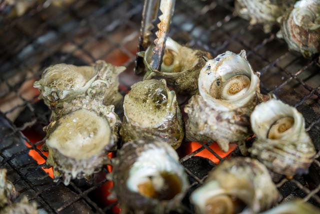 写真：波戸岬 サザエのつぼ焼き