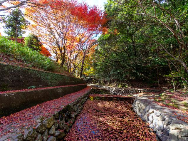 写真：竜門峡