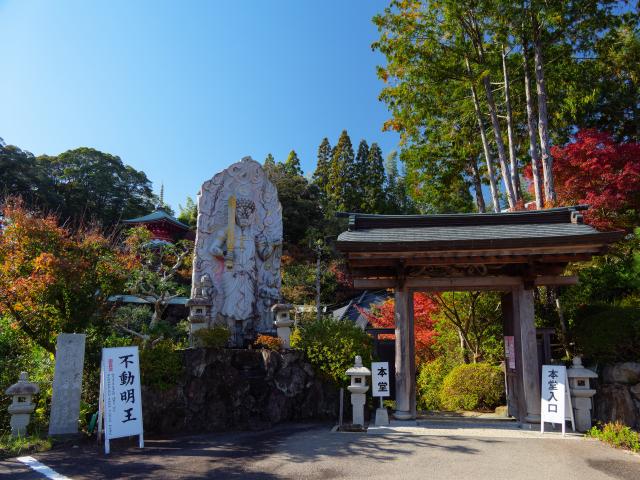 写真：高野寺