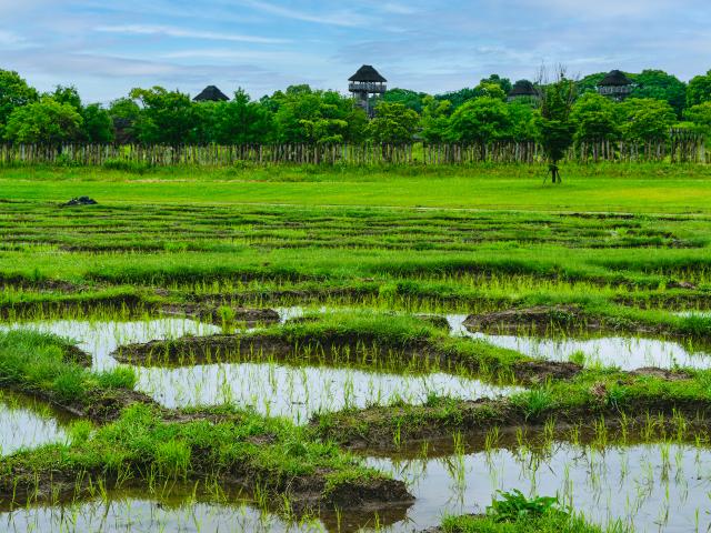 写真：吉野ヶ里歴史公園