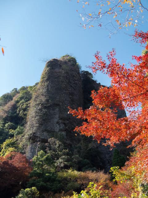 写真：黒髪山乳待坊公園