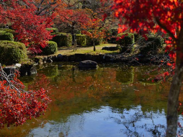 写真：西渓公園