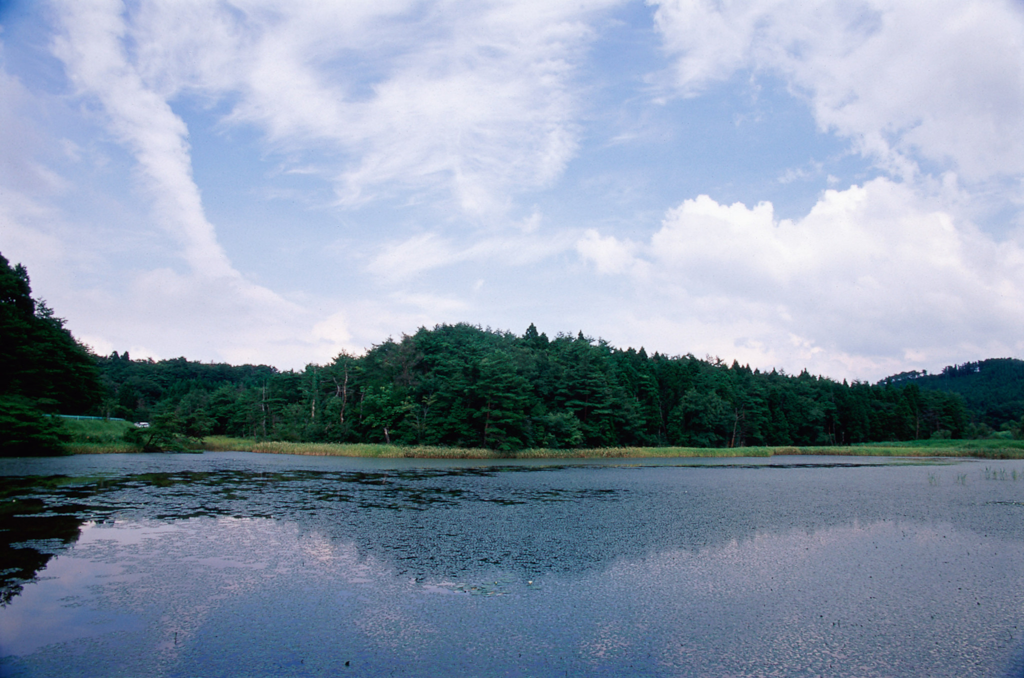 画像:樫原湿原の写真