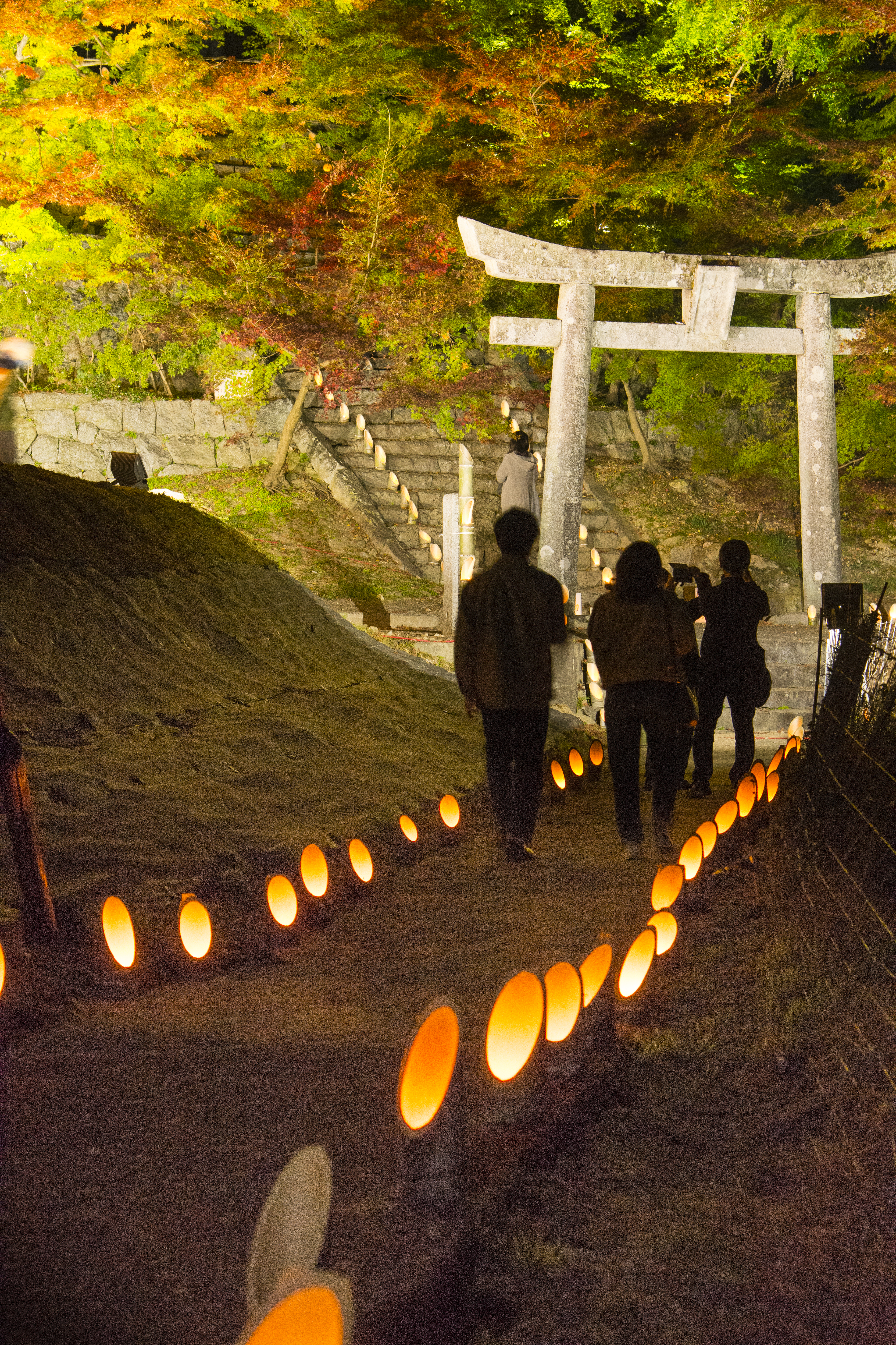 画像:河内大山祇神社の写真