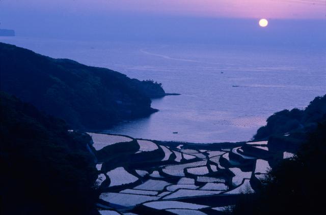 画像:浜野浦の棚田の写真