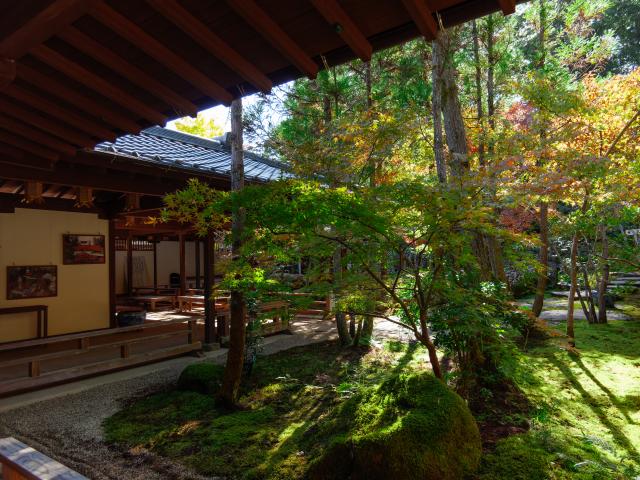 写真：高野寺