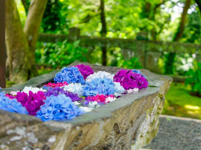 写真：福母八幡宮