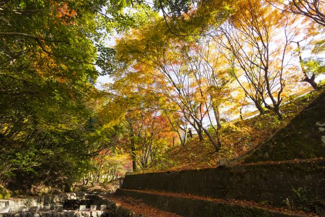 画像:竜門峡の写真