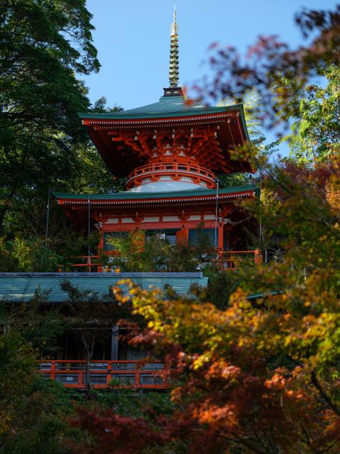 写真：高野寺