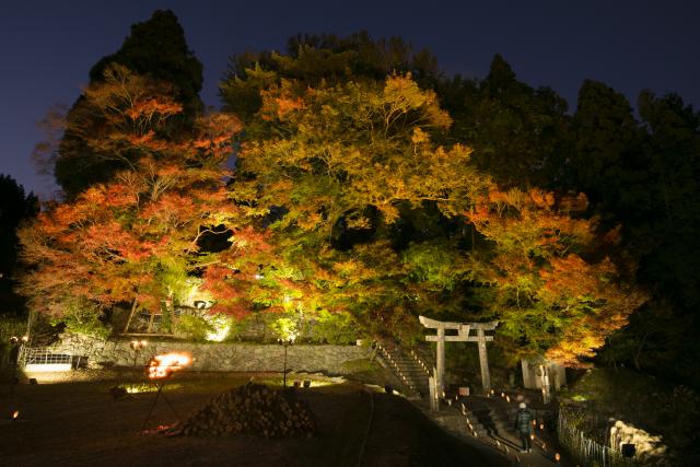 画像:河内大山祇神社の写真