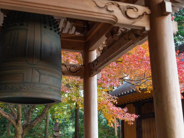 写真：大興善寺