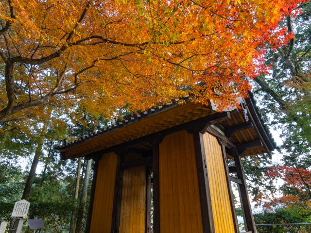 写真：大興善寺