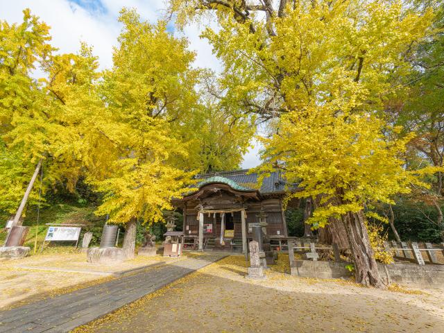 写真：綾部八幡神社