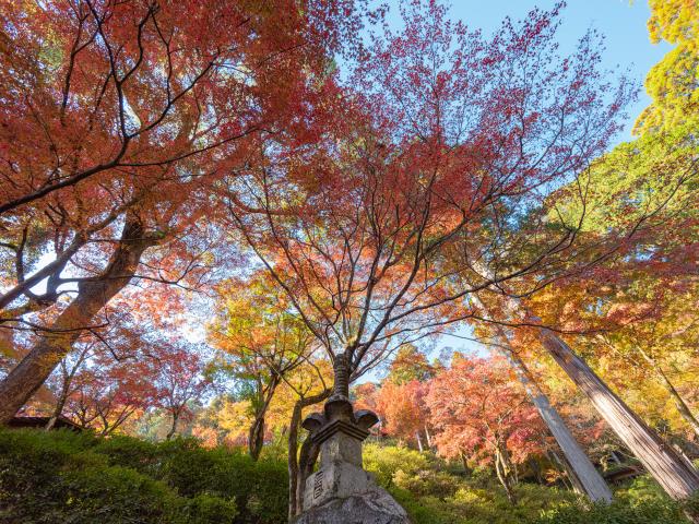 写真：大興善寺