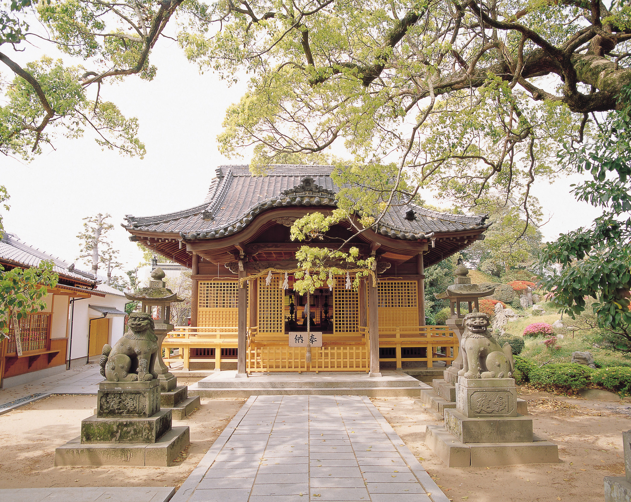 画像:諏訪神社の写真