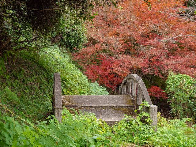 写真：綾部八幡神社