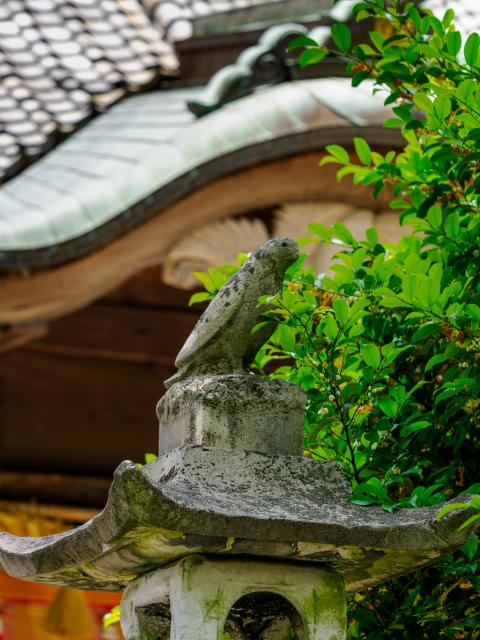 写真：福母八幡宮