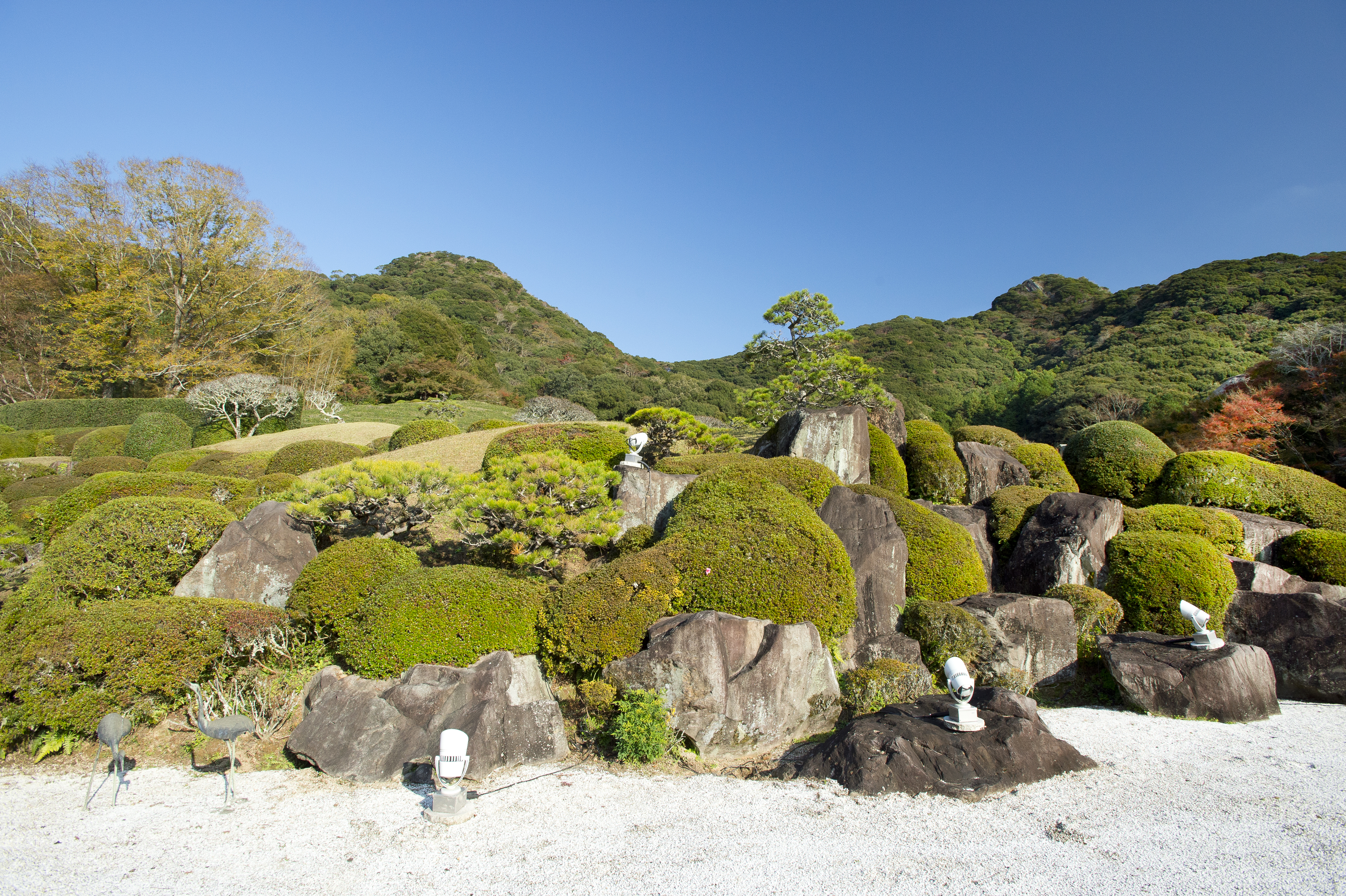 画像:慧洲園の写真