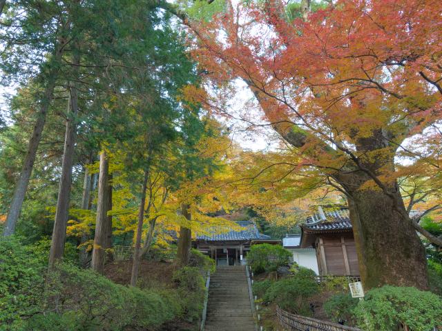 写真：大興善寺