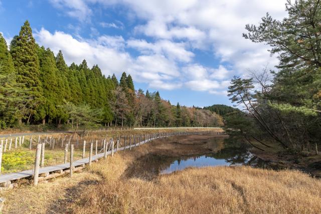 画像:樫原湿原の写真