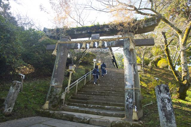 画像:武雄神社・武雄の大楠の写真