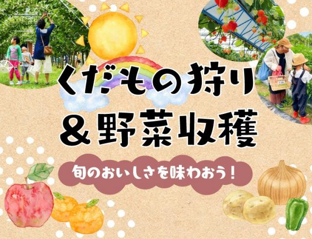 画像：くだもの狩り＆野菜収穫特集のイメージ