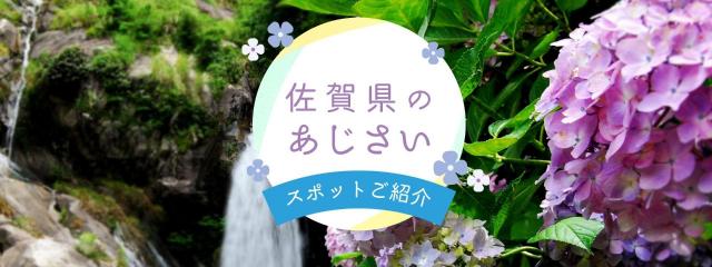 佐賀県のあじさいスポットご紹介特集ページのタイトル画像