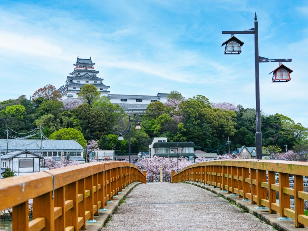 写真：唐津城へ渡る橋の上から見た風景。正面左寄りに天守閣が見える