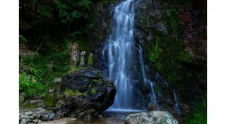 写真：山の中の滝