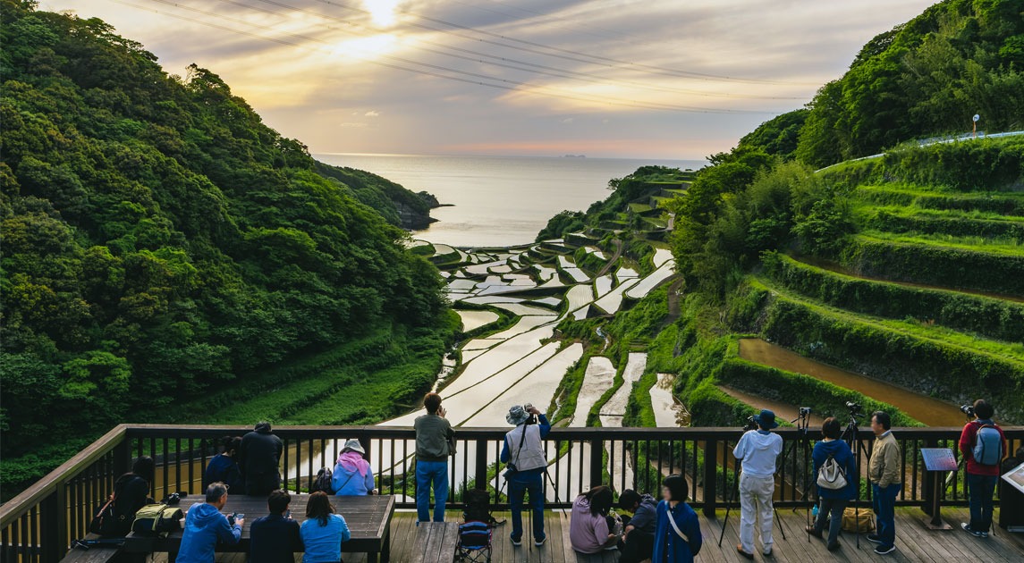 写真：棚田を撮影する人々が多くいる展望台の様子