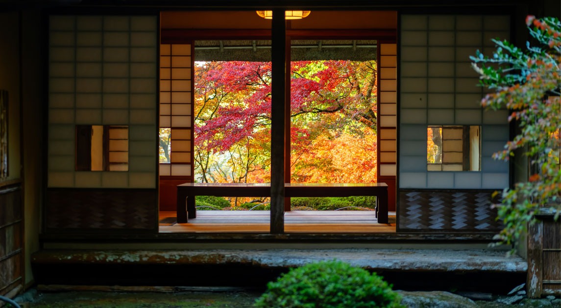 写真：開いた障子から紅葉が見える様子