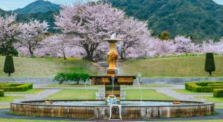 写真：庭園の焼き物オブジェの噴水。背景に桜が咲いており、さらに遠景に山が見える