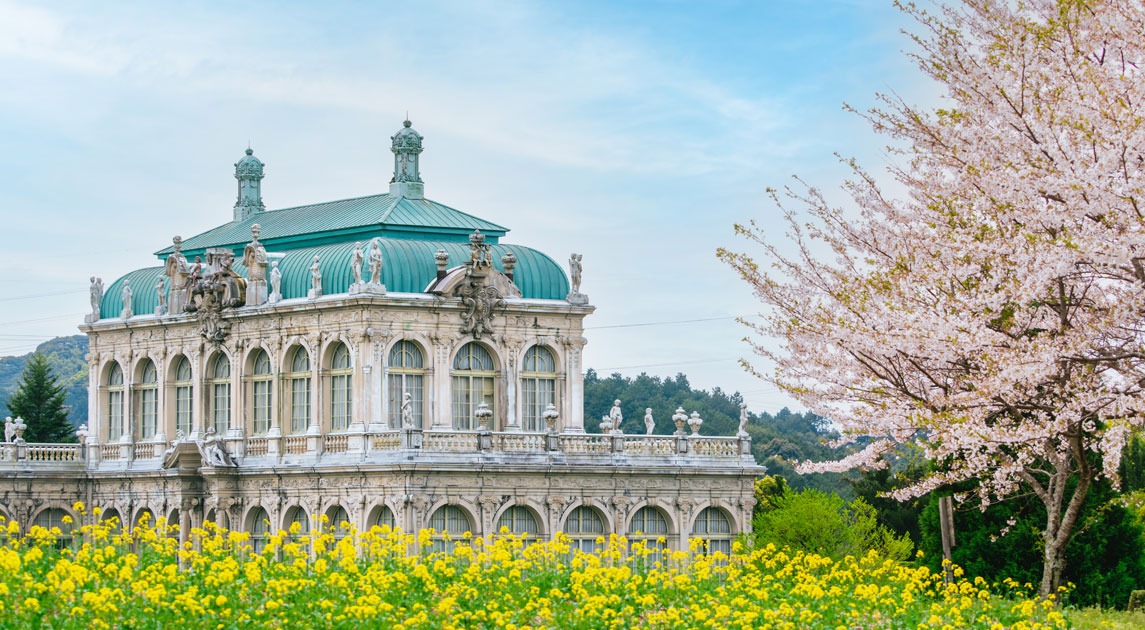 写真：ツヴィンガー宮殿を背景に菜の花と桜が咲いている風景