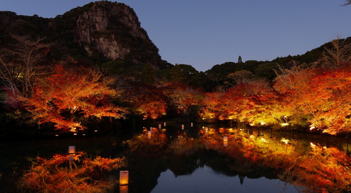 写真：ライトアップされた御船山楽園の夜景