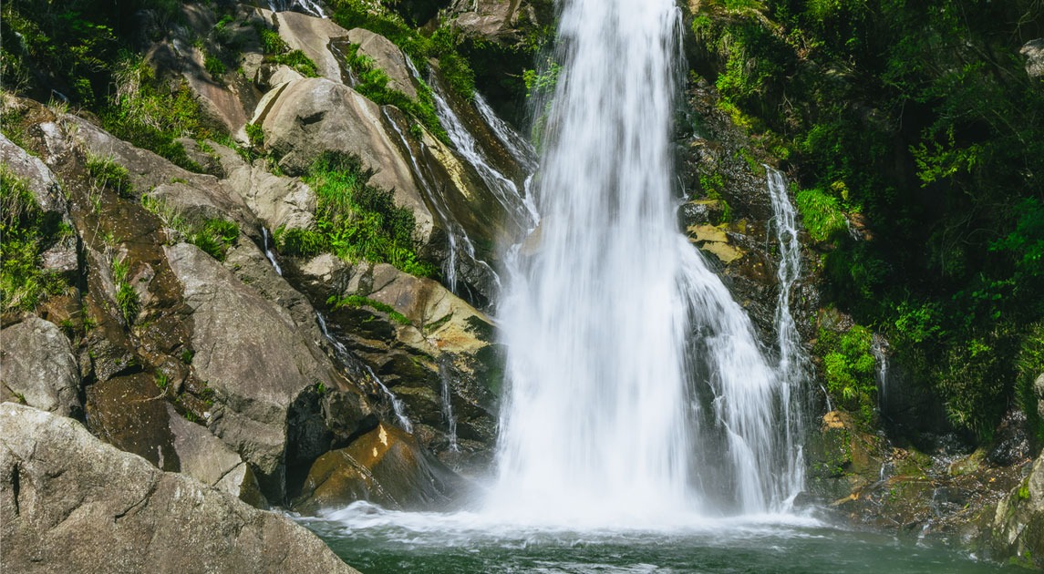 写真：水しぶきを上げている滝つぼの様子