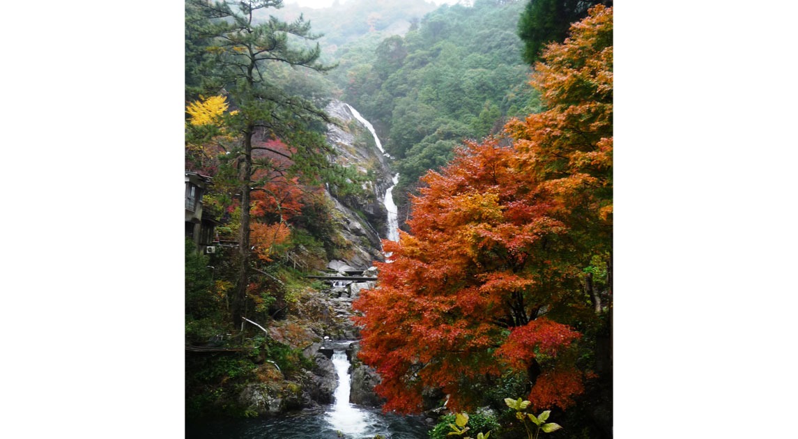 写真：見帰りの滝遠景。周囲の木々が紅葉している