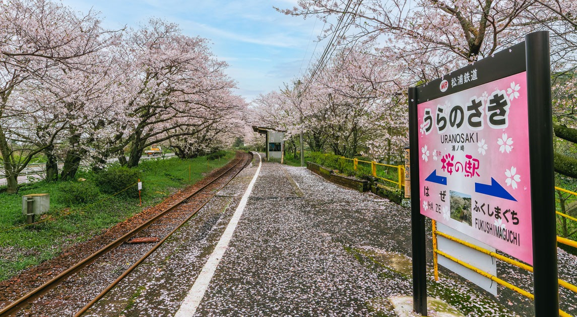 写真：「うらのさき 桜の駅」と記載されたホームの駅名看板