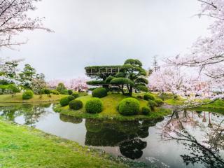 写真：池の中央に小島がある風景