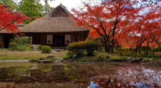 写真：九年庵の紅葉の様子。池に紅葉した木や庵が映り込んでいる