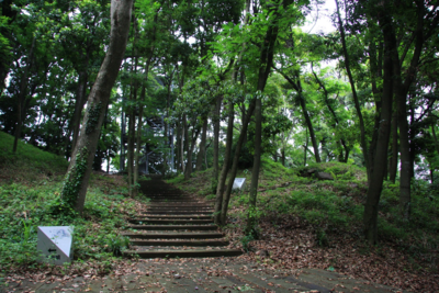 公園の写真、1枚目