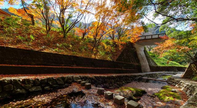 写真：紅葉している竜門峡