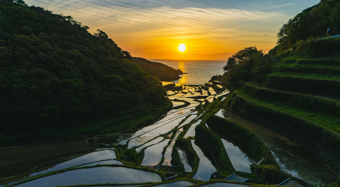 写真：夕陽と棚田の画像