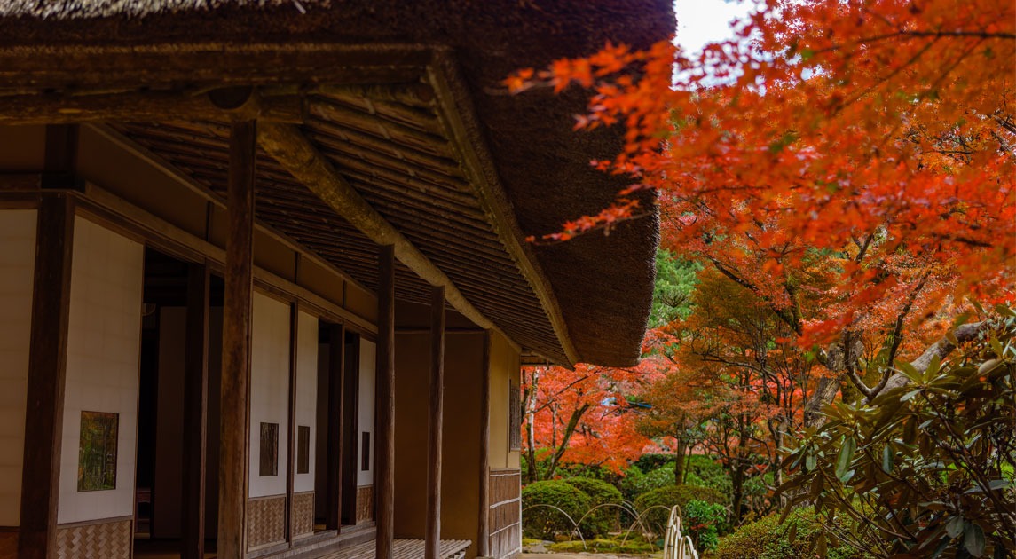 九年庵の紅葉の様子