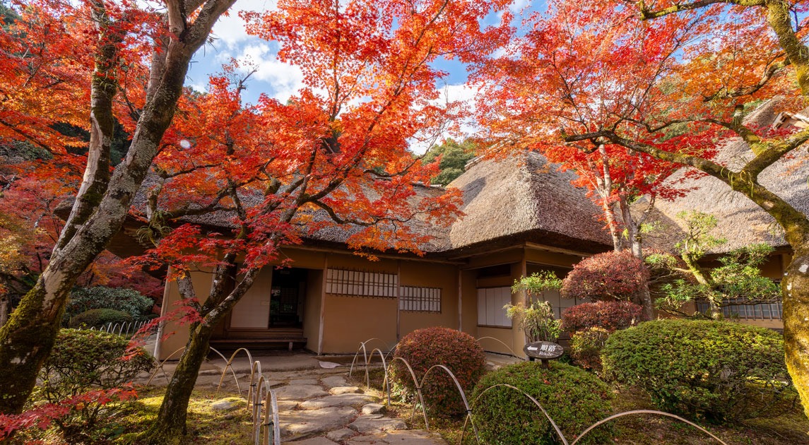 写真：九年庵の紅葉の様子