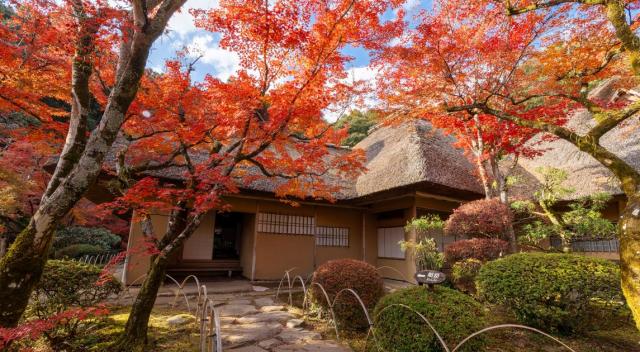 写真：九年庵の紅葉の様子