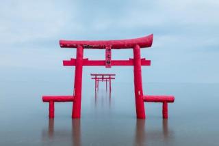 写真：海に赤い鳥居が3つ浸かっている