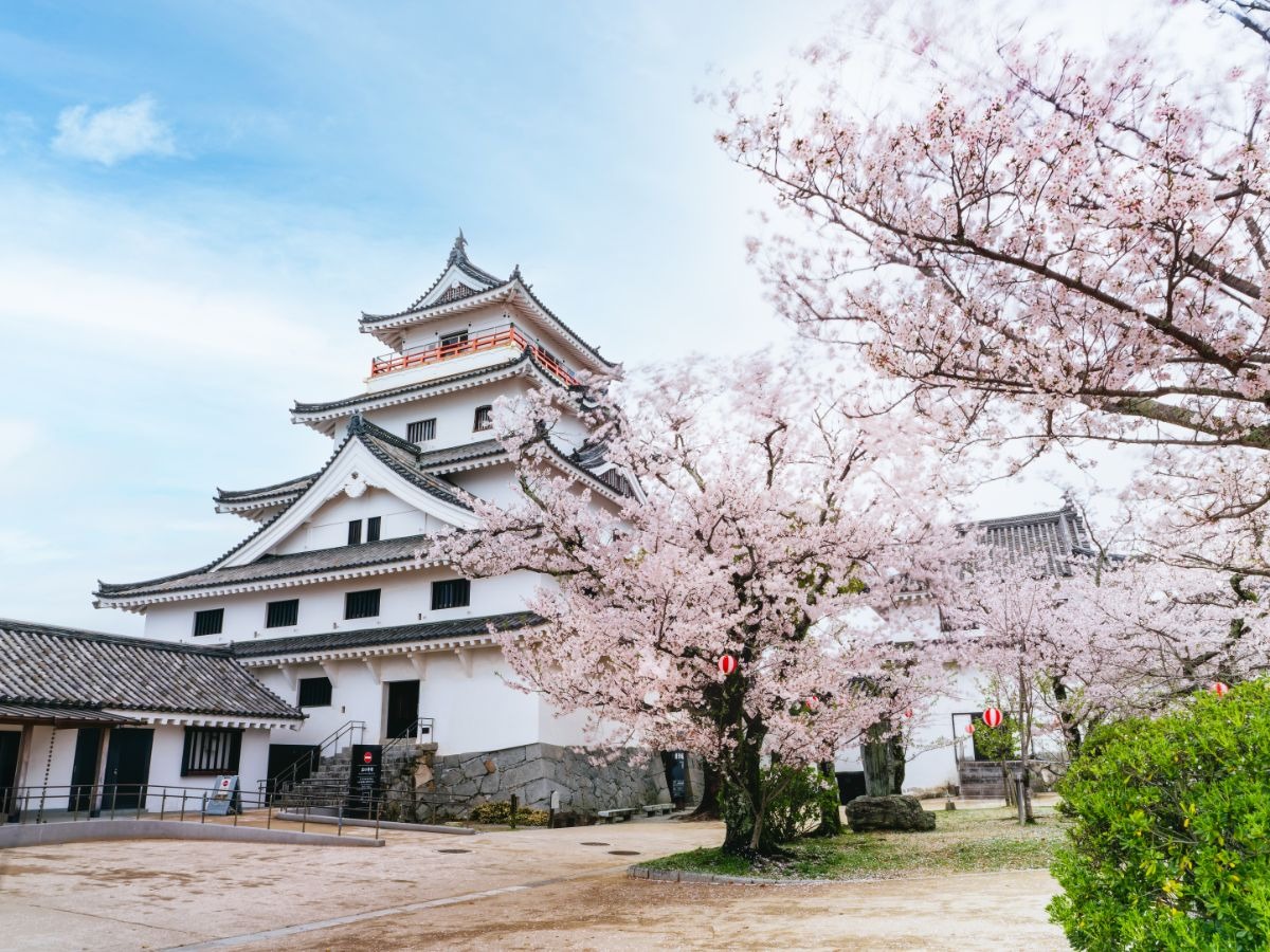 写真：唐津城天守閣。手前の桜の木が満開